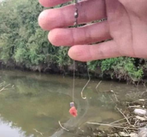 江界河钓鱼实战指南：5个黄金钓点与技巧解析